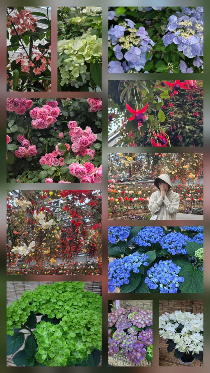 miwada84's tweet photo. 秘密の花園にいってきました。姉と姪っ子1号と一緒に😇先週の検査の御褒美です。
結果は来週ですよん😜 https://t.co/ZUwgTri64W