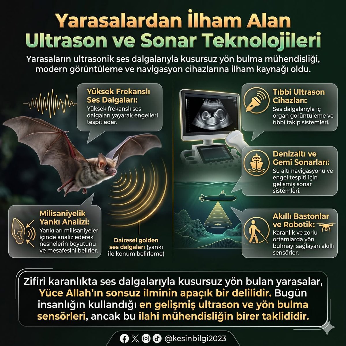 Korkmaz Dilek tweet media