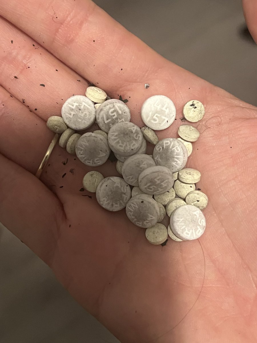 ashlethalweapon's tweet photo. Just know if any of yall have a headache I got chu https://t.co/ilmOnbYx4G