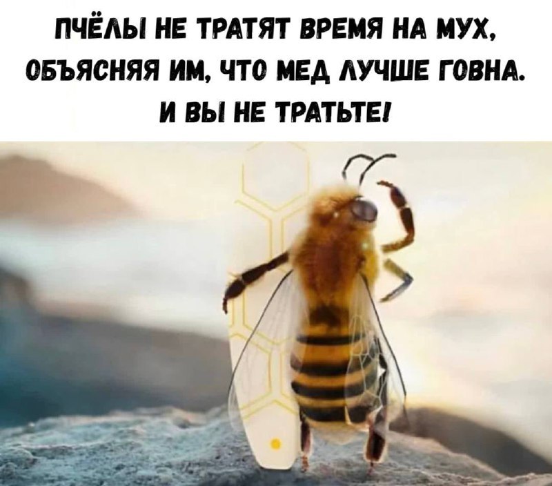 SemennicovaV's tweet photo. https://t.co/506ONMk0Nd