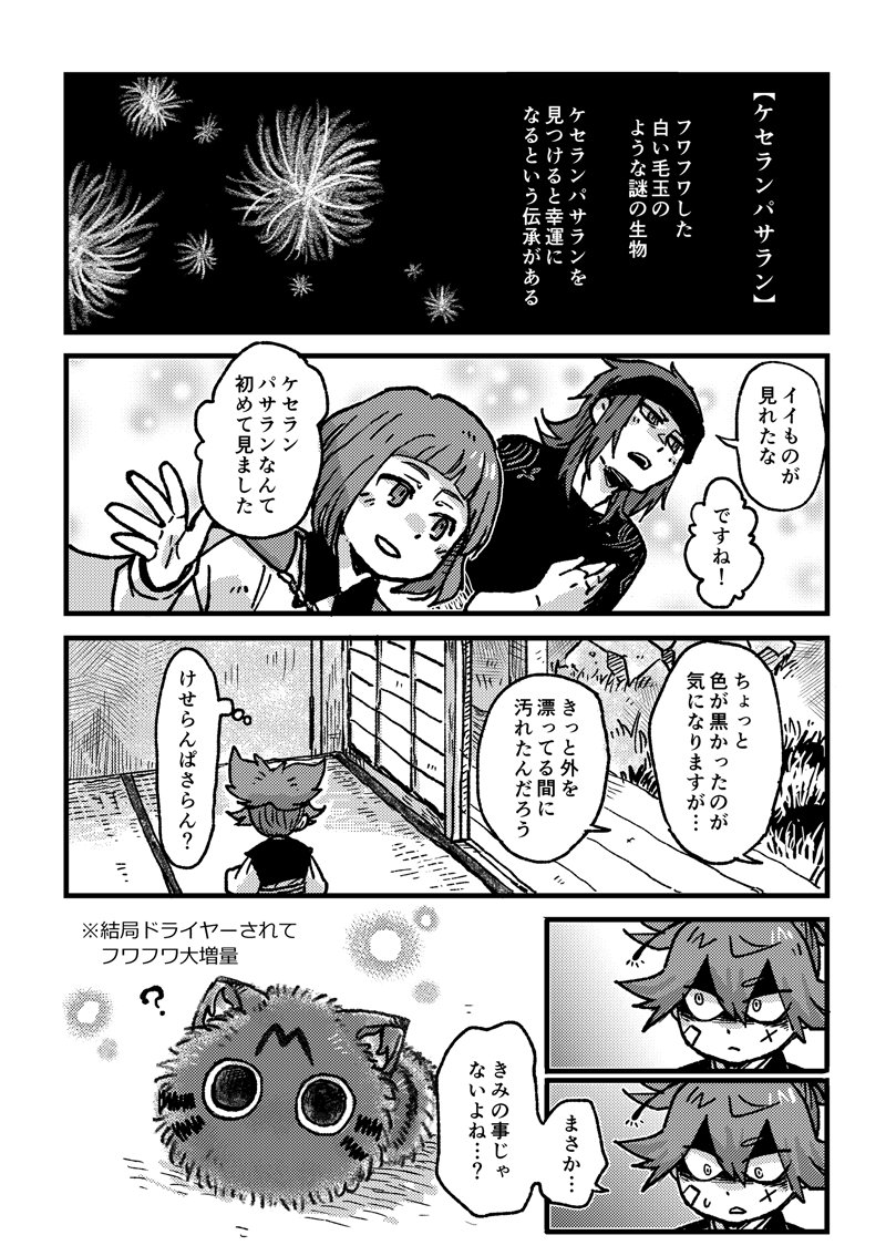 ドライヤーが苦手なふわふわくんの再掲 