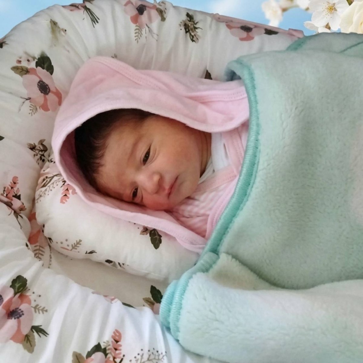 TheCradleMedia's tweet photo. UPDATE | The Israeli attack on Choueifat, in Beirut's southern suburb, killed a mother—identified as Fatima Ali Wehbe—and her child.