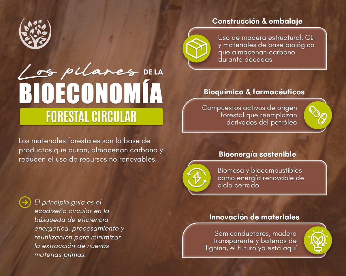 fonabosque's tweet photo. La bioeconomía forestal no es solo cuidar el bosque. Es también reinventar lo que somos capaces de hacer con él, dentro de sus límites, con la mínima extracción posible.

El bosque no es el pasado de la industria. Puede ser su futuro.

#bioeconomíaforestal
#Fonabosque https://t.co/bKXruBfjQV