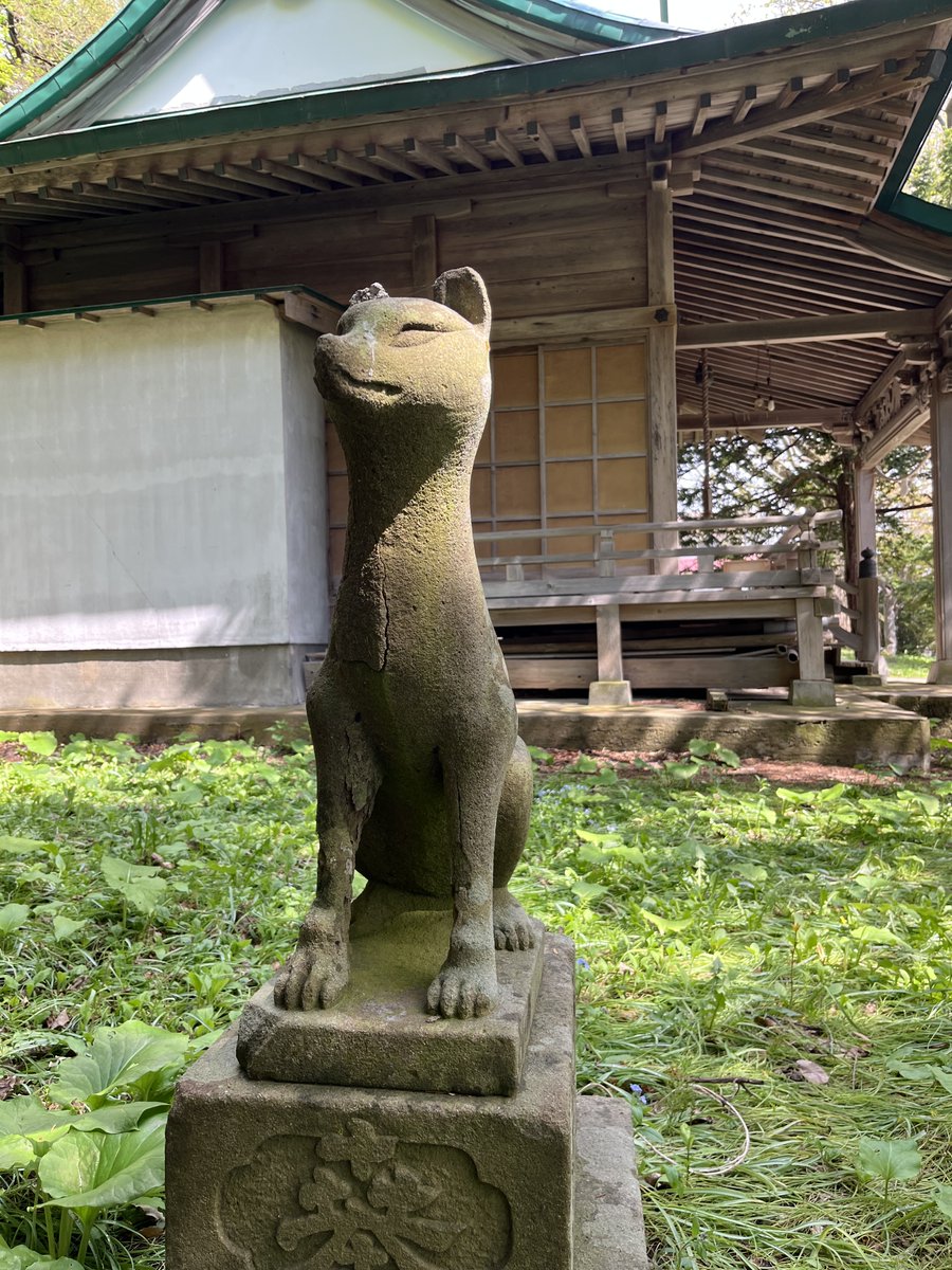 wolfmuzzle1's tweet photo. 追記
お狐様は山陰の松江周辺のお生まれではなかろうか。宍道湖周辺で採掘される来待石という凝灰質砂岩は出雲や伯耆国では切削が容易で肌のきめが細かく美しいため石造物に加工された。石質や彫りが松江城下のお狐様そのものだ。当時日本海海岸の物流を担った千石船によってきっと運ばれたのだろう https://t.co/MTFiL5YbQc