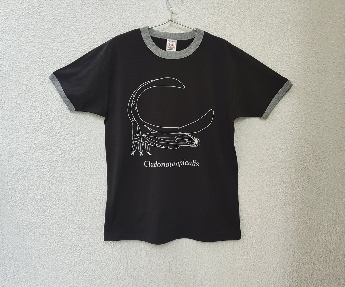 図鑑Tシャツ (@zukan_t) / Posts / X