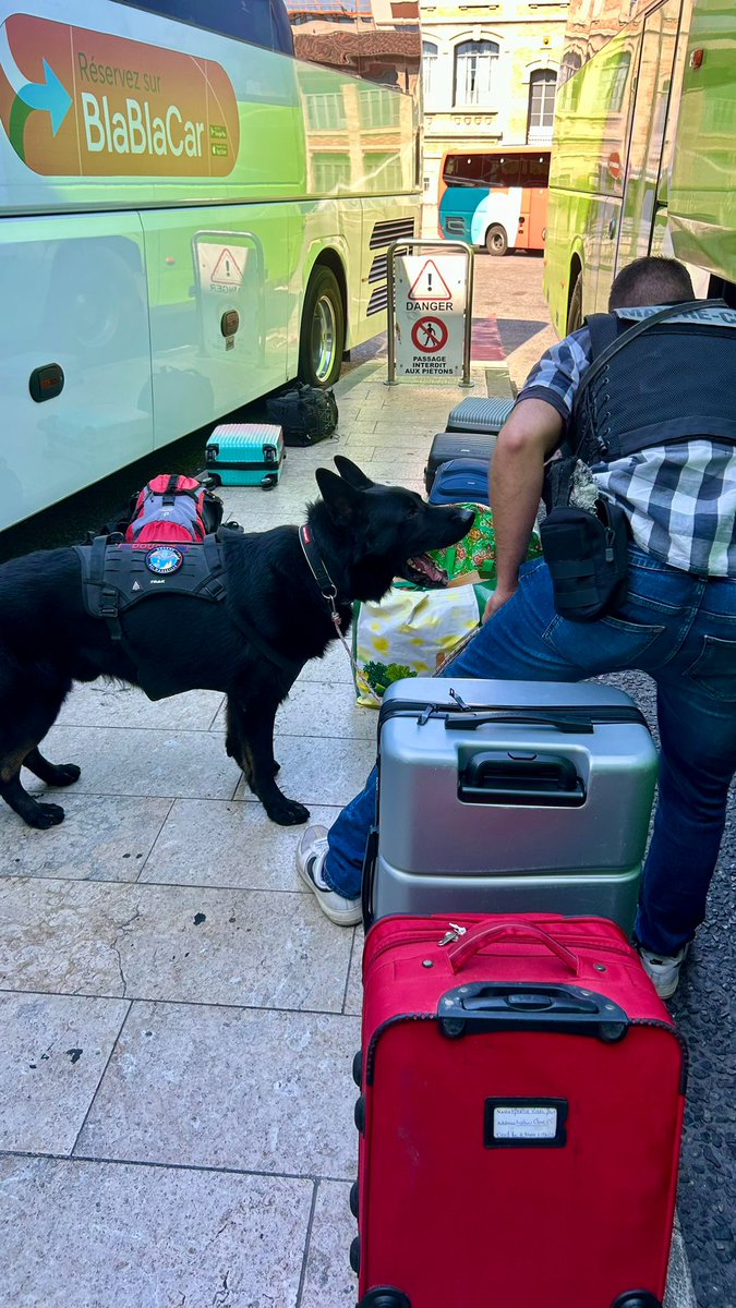 prefpolice13's tweet photo. 🚨 Hier, contrôle coordonné de tous les accès du département par @policenat13 @gendarmerie_13 et douanes : port, aéroport, gares, routes, autoroutes…

✅️Voitures, bateaux, transports, trains, flux de marchandises : stupéfiants, armes et produits illicites ne peuvent circuler en toute impunité.

👏 Bravo aux forces de l'ordre pour leur engagement !
@Prefet13