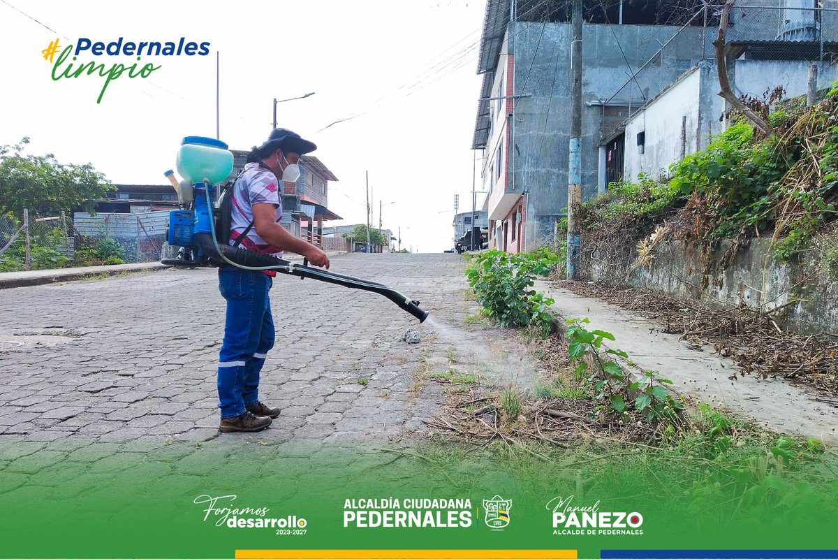 Alcaldía Ciudadana de Pedernales tweet media