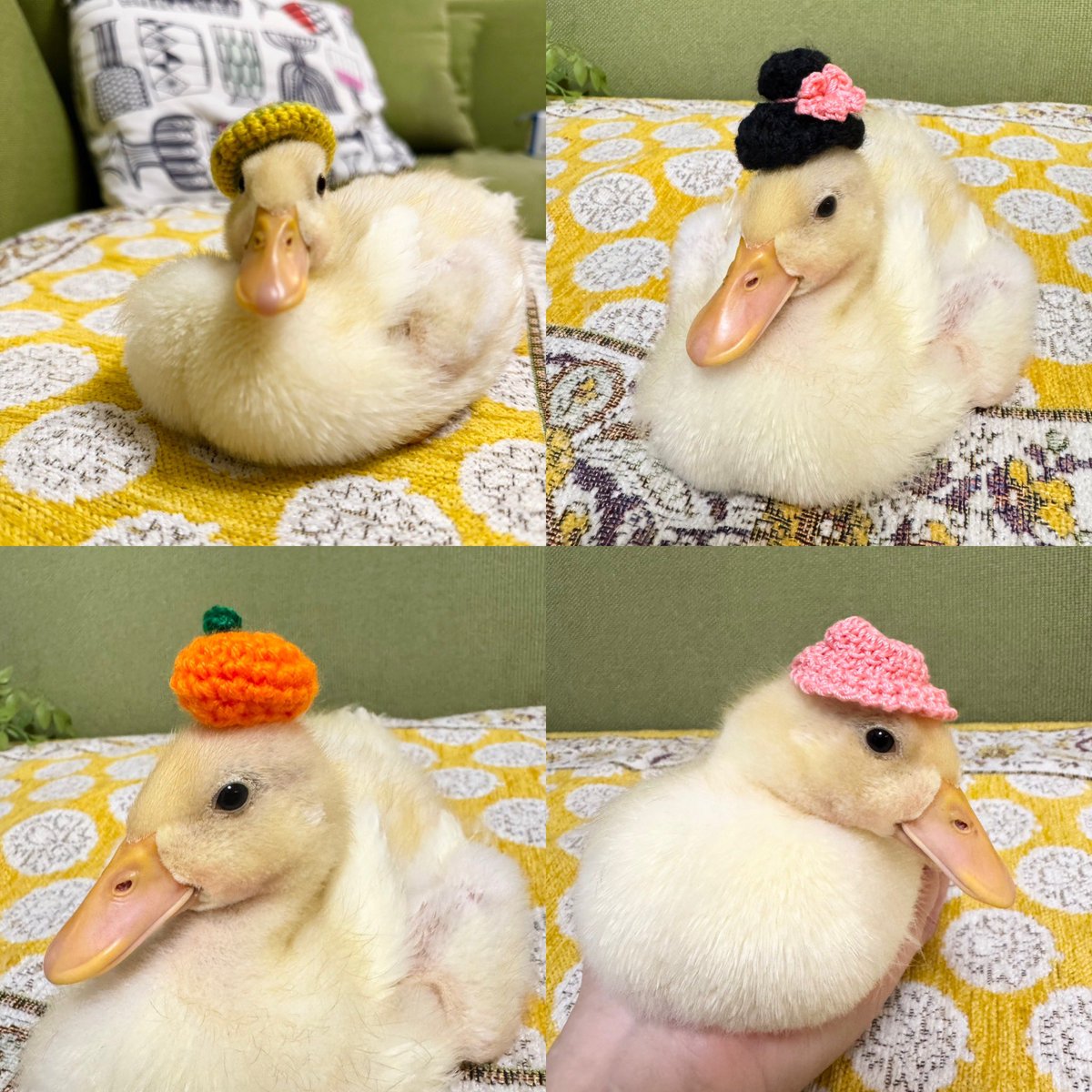 Kk1Re's tweet photo. スーちゃんコレクション③ https://t.co/GD0lVcgalq