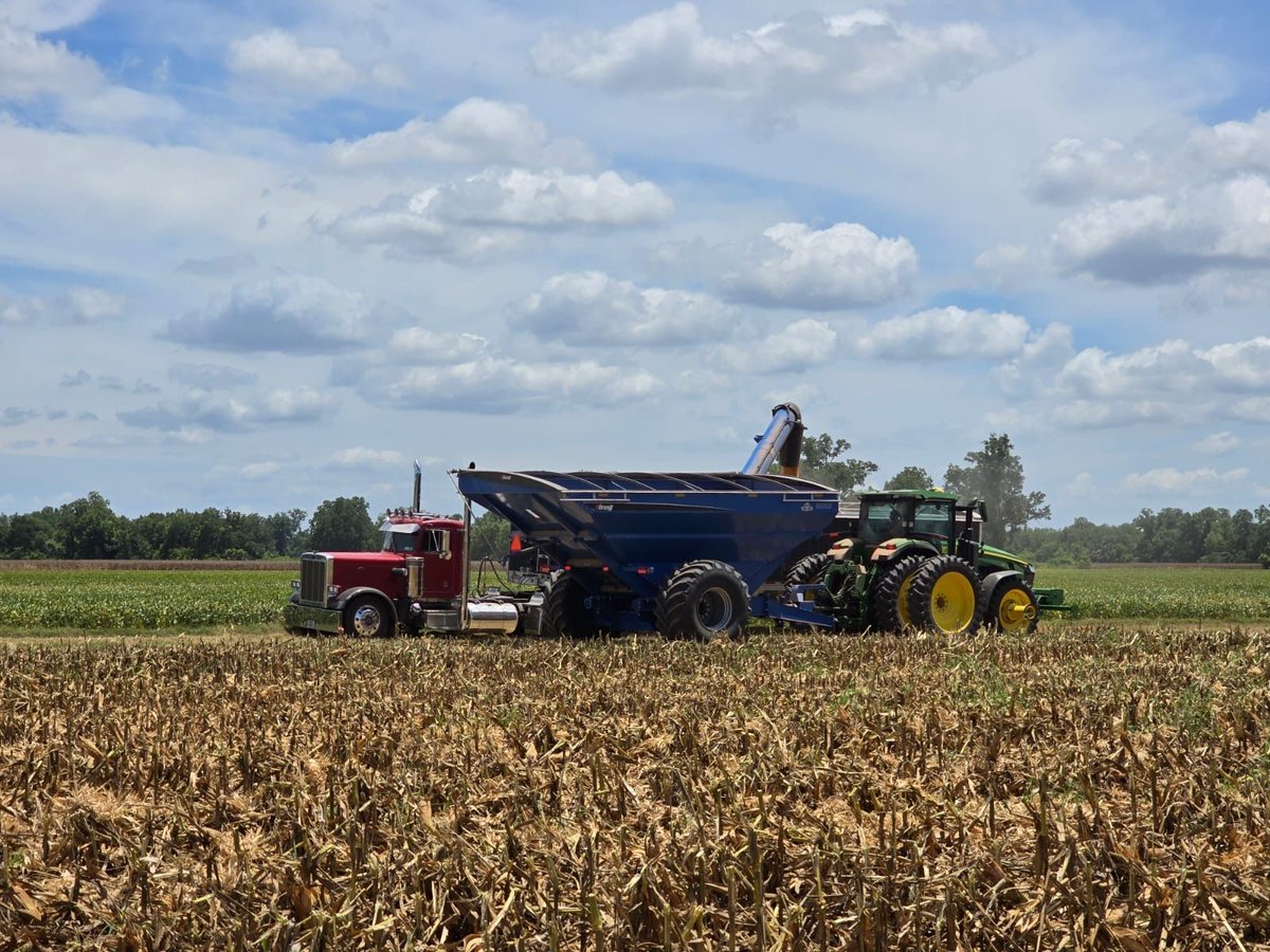 BushelPlus's tweet photo. Everything is bigger in Texas... including yields!

#Throwback to last summer when we put on some MAD Concaves and SmartPan System demos to help local farmers save more yield and optimize combine performance. Nothing beats showing them the impact right in the field!

https://t.co/KFr7LRSoIK