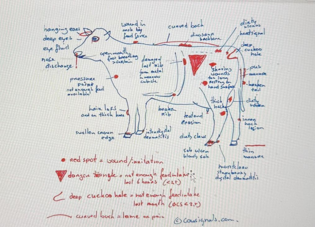 CowSignals tweet picture