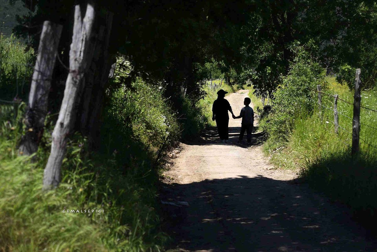 cemalsepici's tweet photo. El ele tutuştuğumuz o güzelim vakitler
Mazinin kollarına bırakanmış bizi meğer

#photography #PHOTOS #artphoto #PhotographyIsArt #capture #cemalsepici #biga #Biga #NatureBeauty #naturelovers #NaturePhotograhpy #landscape #landscapephotography #fineartphotography https://t.co/1WBUSaJYZ8