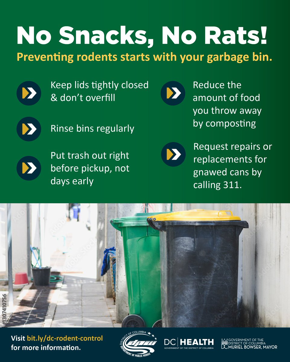 _DCHealth's tweet photo. Your garbage can plays a major role in rat control. Follow these quick tips and help keep our communities clean, safe, and rodent-free.

Submit a service request for trash cans or rodent help at 311.
#DCHealth #DPW #RodentPrevention #CleanDC https://t.co/ytF7dDjVfx