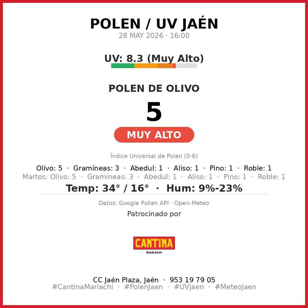 ReporteJaen's tweet photo. 🌿 Reporte Polen Jaén
28 MAY 2026

🔴 OLIVO: 5 (Muy Alto)
Especies: Olivo: 5 · Gramíneas: 3 · Abedul: 1 · Aliso: 1 · Pino: 1 · Roble: 1

☀️ Índice UV: 8.3 (Muy Alto)
🌡️ 34°/16° 💧 9%-23%

#PolenJaen #UVjaen #MeteoJaen #Jaén #CantinaMariachi https://t.co/0kEf6ty6Ks