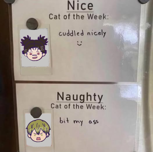 jennittles 🜏 tweet media