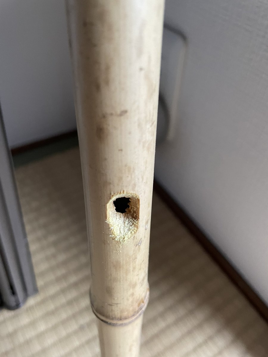 Yご飯の人(yuuuki) tweet media