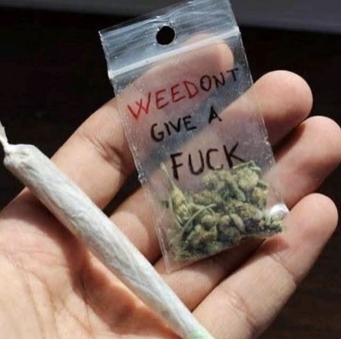 Stoned_HQ's tweet photo. We don’t give a fuck💀 https://t.co/D7d9UuDjdM