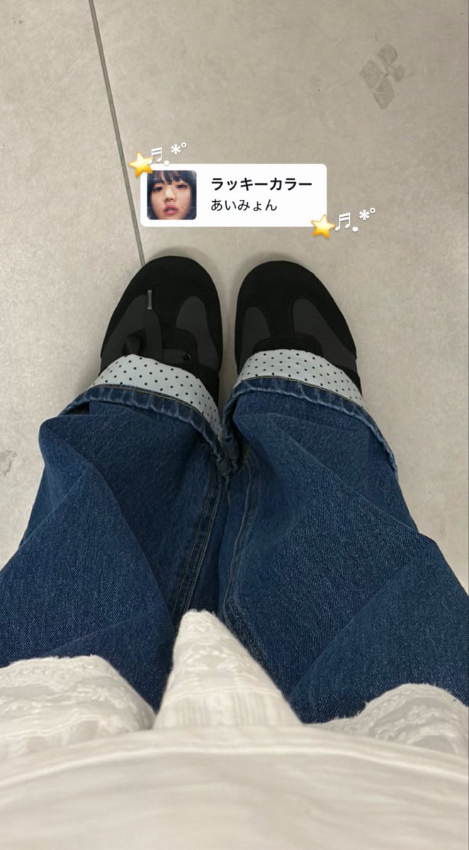 きなこ🦭 tweet media