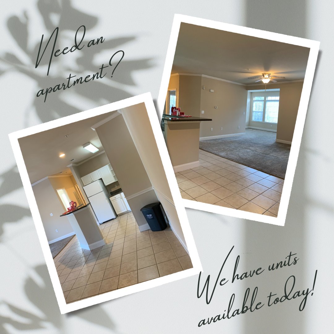 cypresspond's tweet photo. Check out our website for more details!

#CypressPondPortersNeck #LoveWhereYouLive #wilmingtonncAPTS #CoastalLiving #PortersNeck https://t.co/0nwpvKd9we