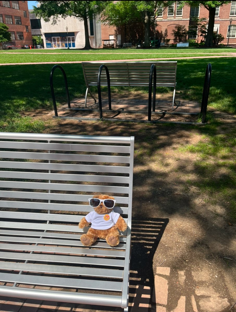 GWLawLibrary's tweet photo. Finally getting some sun after all these rainy days! ☀️
#gwlawlibrary #gwlaw #jacobburnslawlibrary #jbll https://t.co/R48wPzfoFR