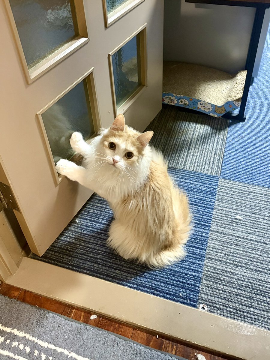 metan_2nd's tweet photo. https://t.co/dHdoO0HEYx