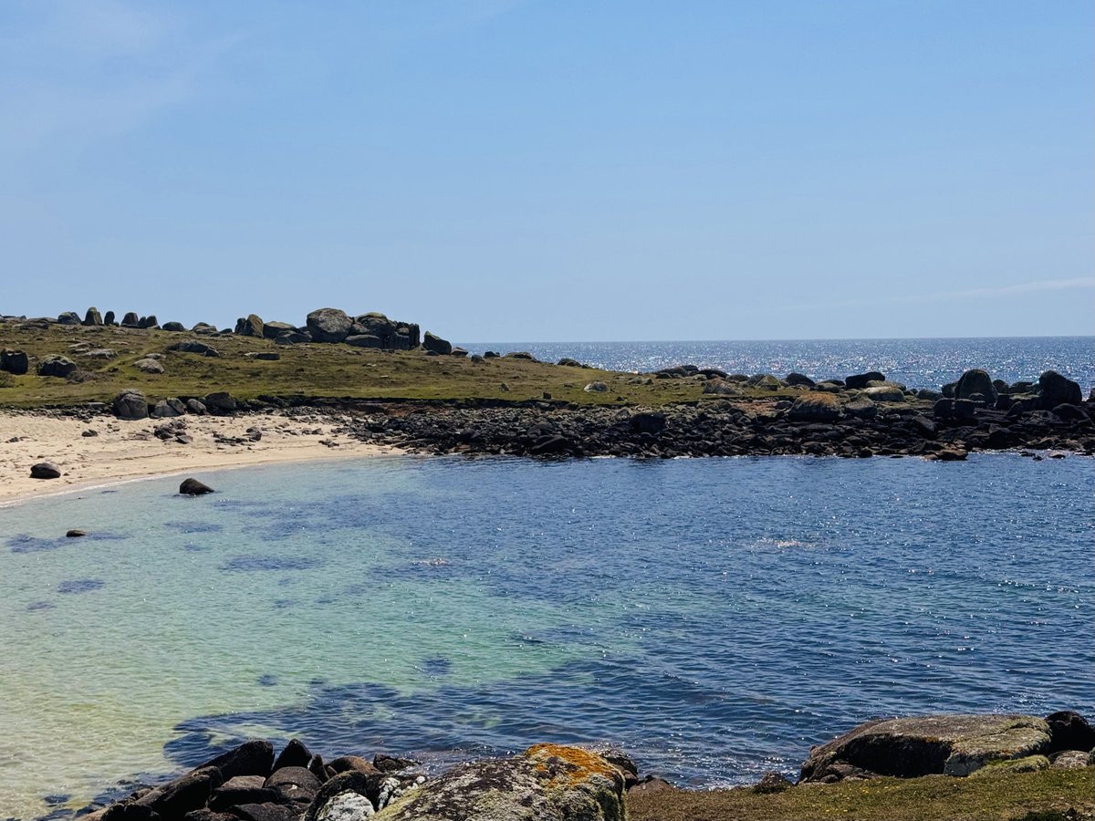 scillyniki's tweet photo. Lunchtime loveliness 💗 https://t.co/BzGI77MY7T
