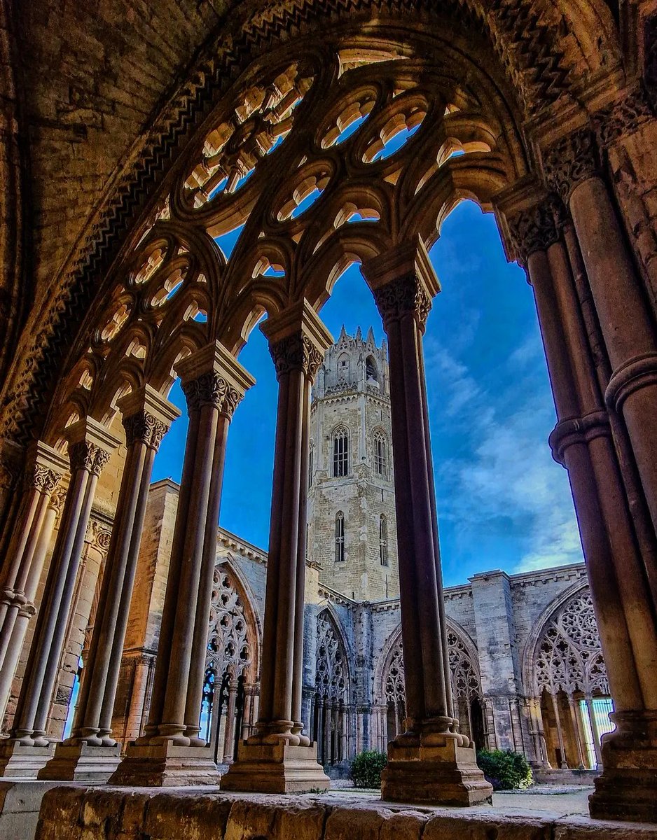 aralleida's tweet photo. Estareu d'acord que la Seu Vella és un dels símbols més icònics de la ciutat de Lleida😍. Amb la seva silueta inconfusible dominant l’horitzó del Segrià, continua captivant mirades amb molt #ADNLleida 💚🌍

📌 Seu Vella, El Segrià
ℹ️ @segriaturisme @turismedelleida @TuroSeuVella

Moltes gràcies, https://t.co/z9QBMNR1MA per #CompartirADNLleida amb aquesta bonica imatge! 📸
#TerresdeLleida #AraLleida #BiosphereGoldDestination 🌱