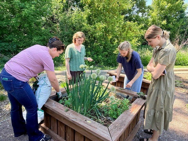 SunOpta's tweet photo. Team members planted vegetables in raised garden beds at our headquarters facility, bringing our sustainability values to life. It’s more than growing plants; it’s about growing connections, building stronger teams and enjoying the fresh produce together.
#SunOptaLife https://t.co/fvwTzk4gLB