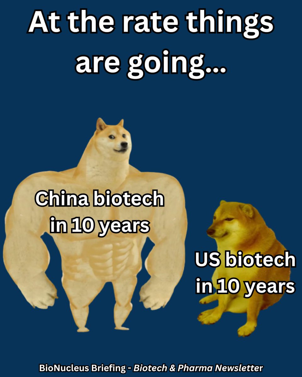 BioNucleusNet's tweet photo. Biotech’s next big fight may be geopolitical. 🇺🇸🧬🇨🇳

Lawmakers are pushing to restrict U.S. investment and licensing deals tied to Chinese biotech as concerns grow America is outsourcing future innovation.

The debate: block China…or fix U.S. biotech competitiveness?

#biotech https://t.co/1raJObWerl