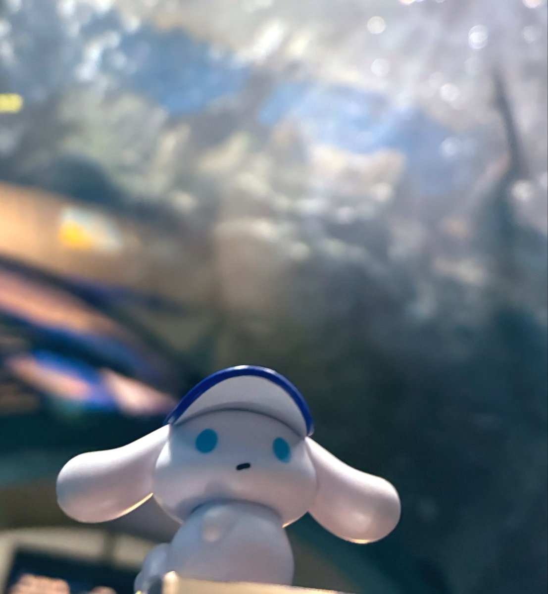 ca_de_colat's tweet photo. 🐟🐟🐟
#アイシナモロール https://t.co/JeYU017fEE