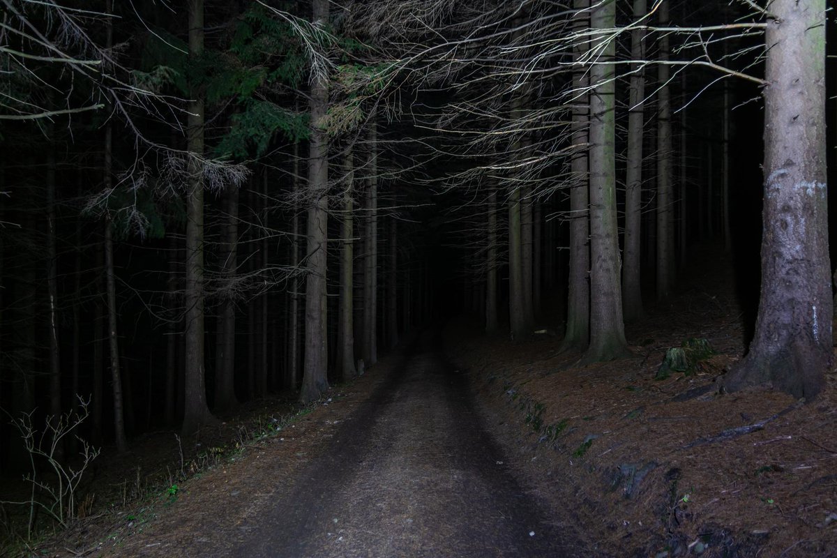 marginandpage's tweet photo. What horror setting instantly unsettles you?

— Deep woods
— Empty ocean
— Abandoned towns
— Underground tunnels
— Ancient ruins
For me?
Forests at night. Every time.

#HorrorCommunity #DarkFiction #ScaryThoughts #BookTok #IHaveBeenHere https://t.co/ay6DxyiJU6