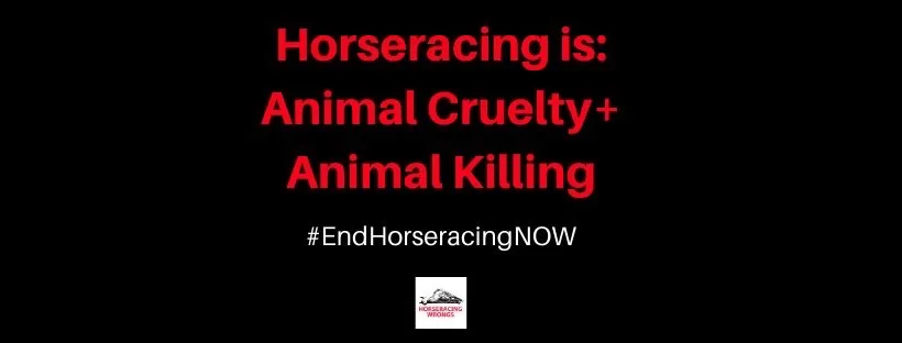CagesFree's tweet photo. Also at Churchill
9 horses were scratched by the regulatory vet
Their #exploiters had every intention of racing them for being injured or unsound
https://t.co/jfRWxfnfEX
#Your entertainment? Dead horses? https://t.co/8dvQIdsmID