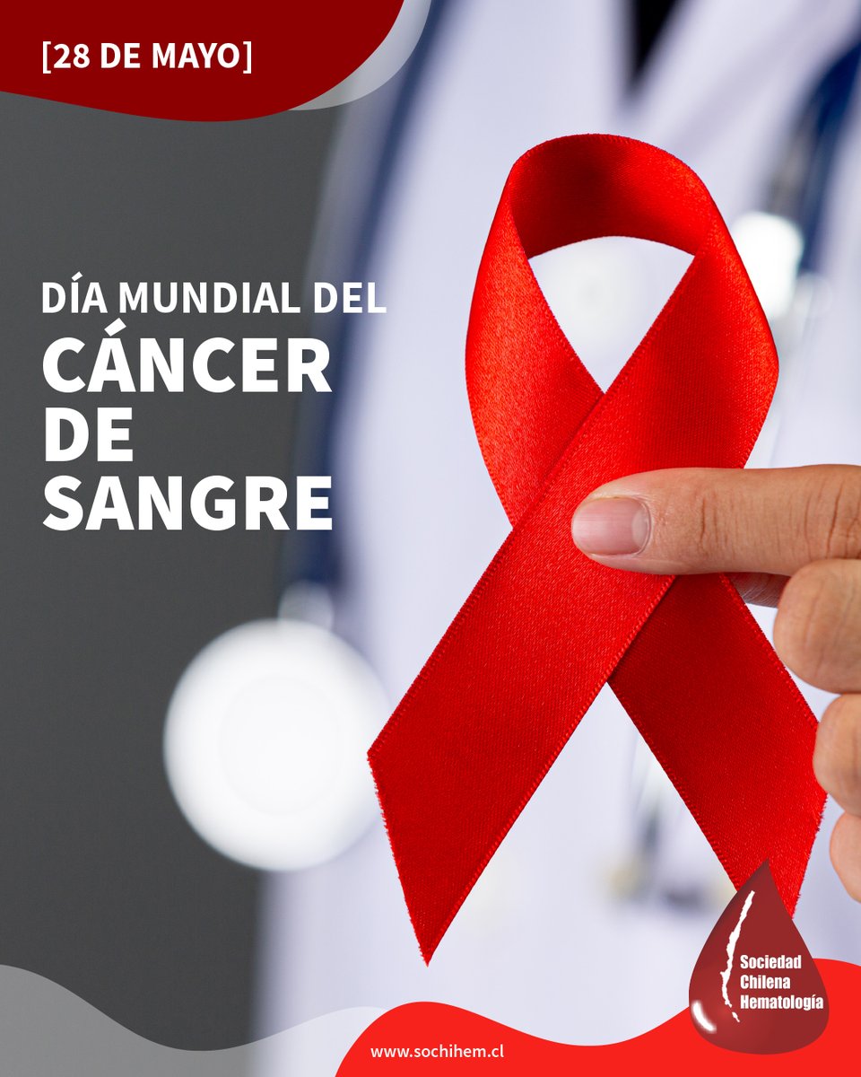 sochihem's tweet photo. 28 DE MAYO 🗓️ | DÍA MUNDIAL DEL CÁNCER DE SANGRE 🩸

Desde SOCHIHEM buscamos concientizar sobre enfermedades como la leucemia, el linfoma y el mieloma múltiple son enfermedades hematológicas que requieren diagnóstico oportuno, tratamiento adecuado y acompañamiento continuo. https://t.co/KOHmBCr3xo