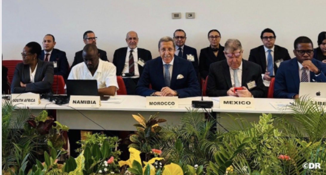 Morocco_UN's tweet photo. C24: L’Ambassadeur Omar Hilale : « Le maintien de la question du Sahara Marocain au C24 est anachronique au regard de la résolution historique 2797 du Conseil de sécurité »

https://t.co/GP6j7z2jLF https://t.co/QFmSbYOSK2