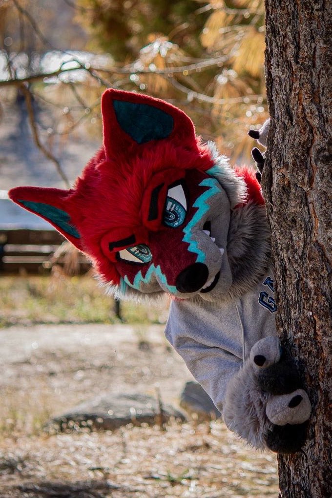 MBWsuits's tweet photo. This week’s throwback Thursday features Apollo! A commission that’s coming up on its first birthday :) We loved the color palette and markings on this guy ❤️🩵 https://t.co/uBCU2kpwuO