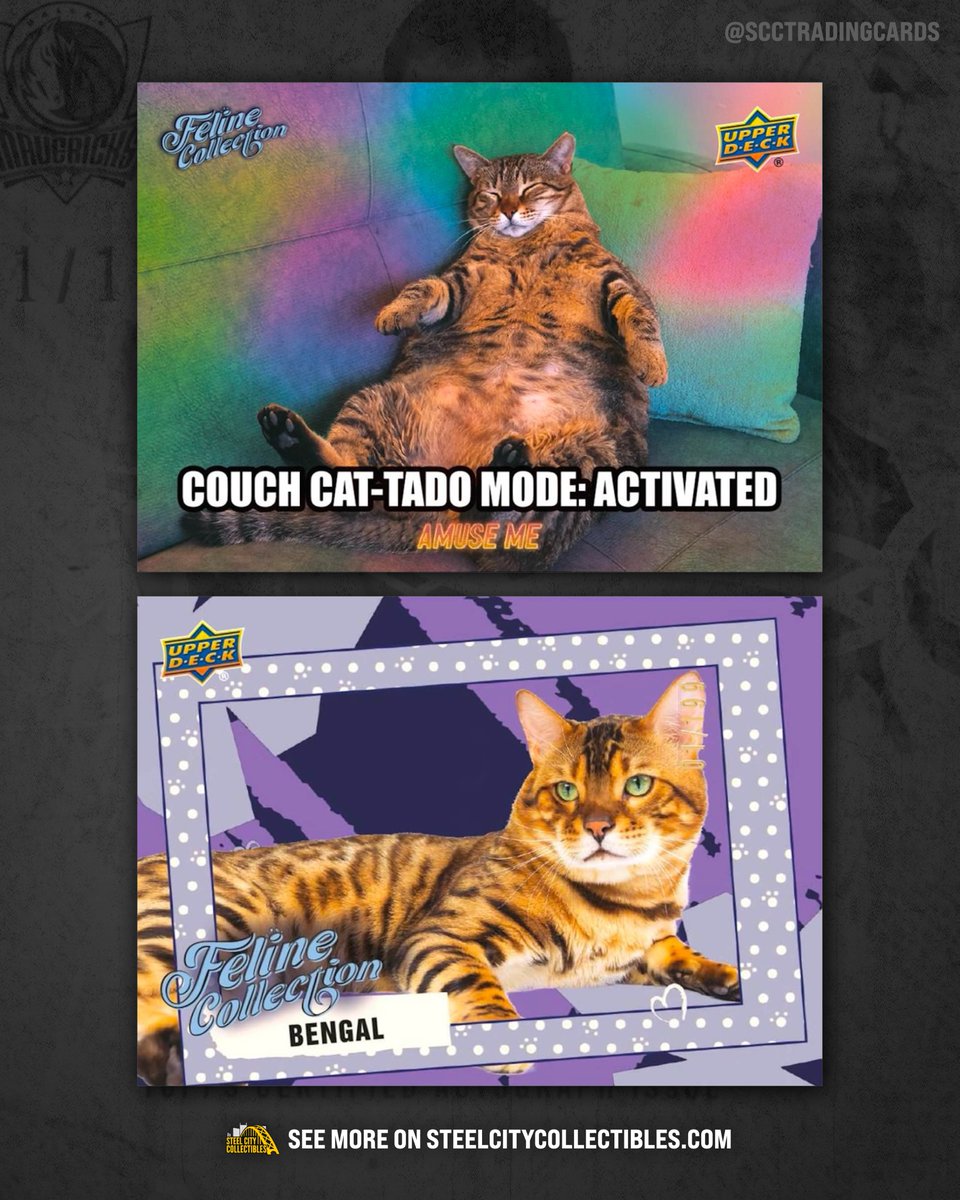 SCCTradingCards's tweet photo. FIRST LOOK: New details for 2026 Upper Deck Feline Collection are now available on our website!