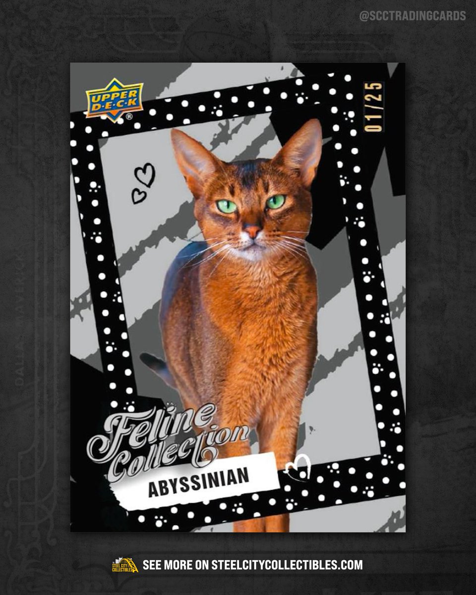 SCCTradingCards's tweet photo. FIRST LOOK: New details for 2026 Upper Deck Feline Collection are now available on our website!