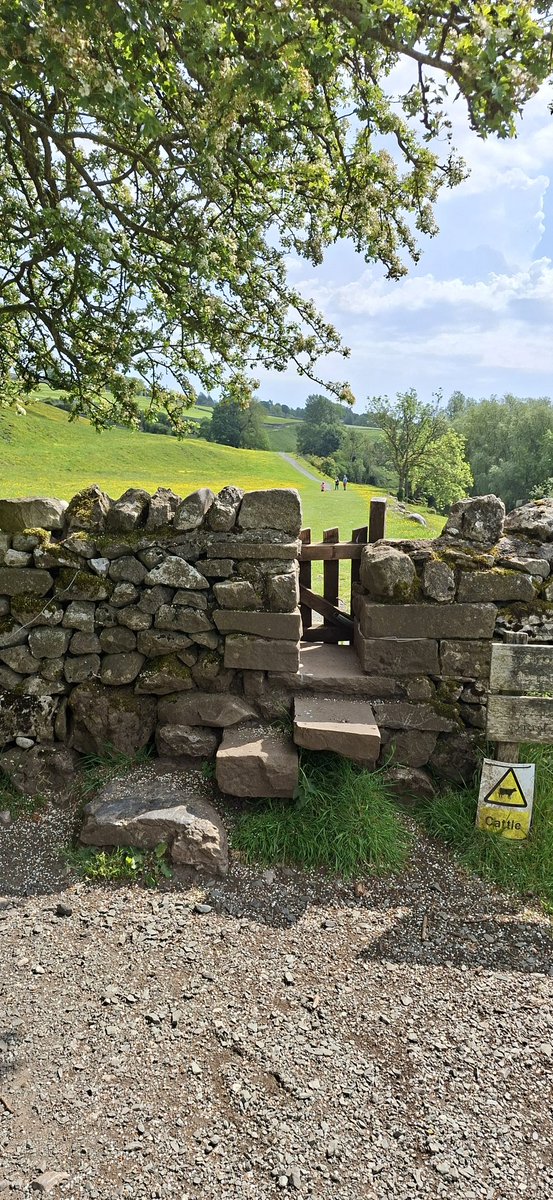 MyWay33464's tweet photo. Today, in glorious weather, I walked the Dales Way Footpath from Grassington to Burnsall and back. The route follows the River Wharfe. I was lucky enough to see and hear curlews.
#YorkshireDales
#Grassington https://t.co/H2HMixuheM