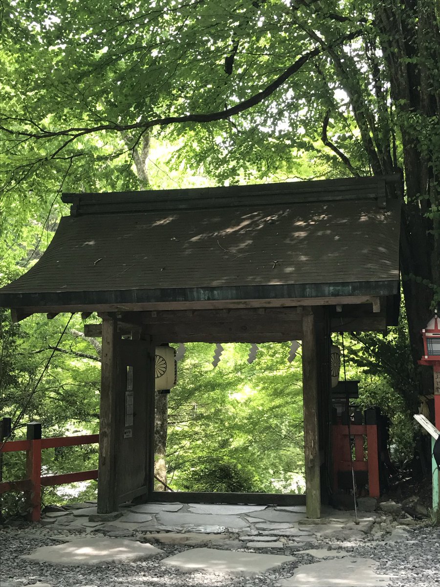 iiniku tweet media