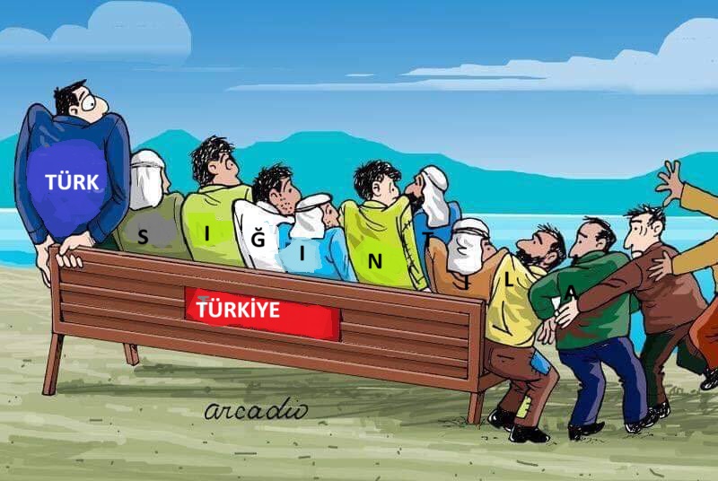 filiz tweet media