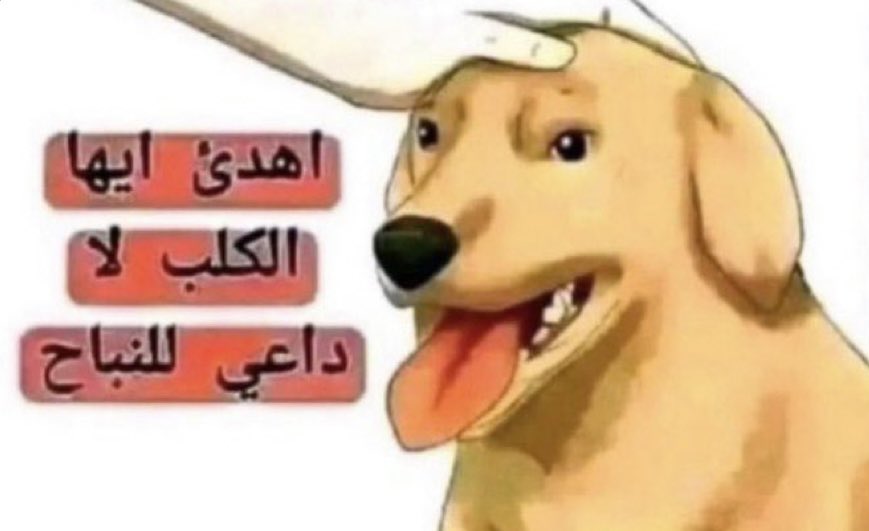 مسفر قضعان العايذي القحطاني tweet media