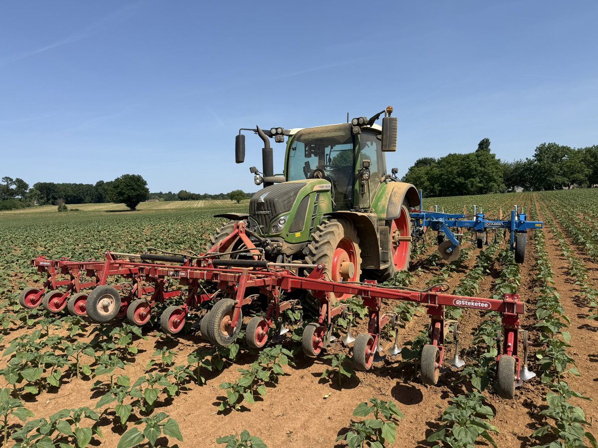 Master_BT's tweet photo. Si je déplie les deux machines,
Est ça compte comme 4 tours d’eau?

Je pose la question😅🤪 https://t.co/9dmLCVtj0R