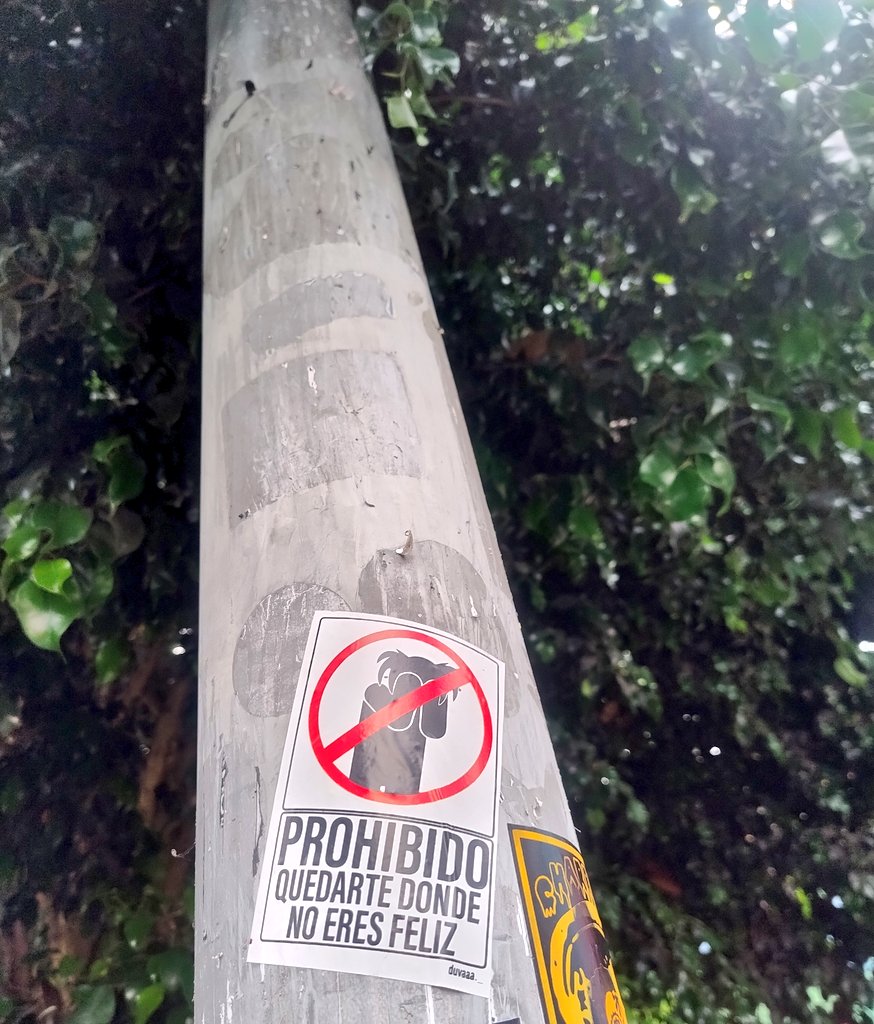 amoresbike's tweet photo. Prohibido quedarte donde no eres feliz 🫵 https://t.co/bZK1k6fcw6