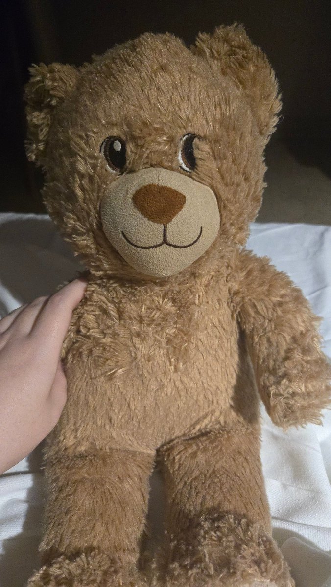 jniimo's tweet photo. @rinaselles my build a bear that i named beomgyu and has his voice https://t.co/ZcBIIQajc2