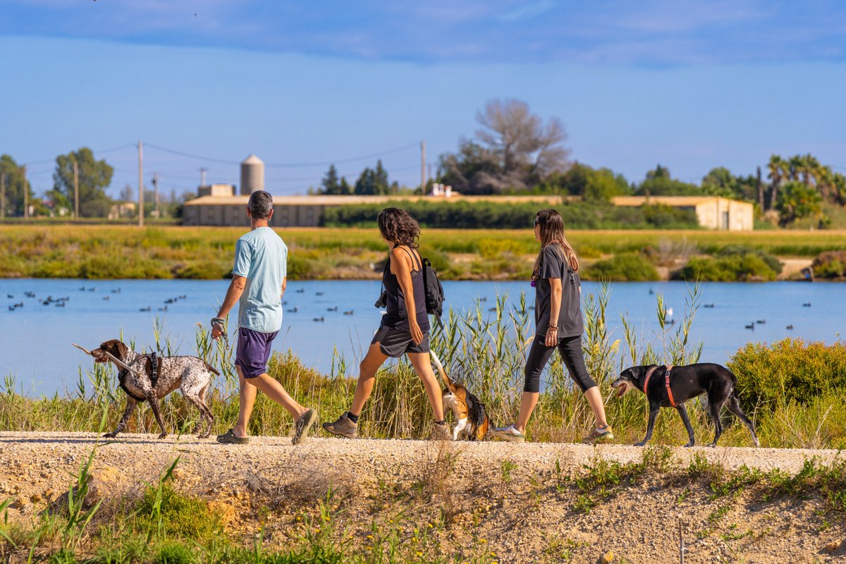 SpainInBeLux's tweet photo. Northern Spain is establishing itself as a #petfriendly destination made up of cities, Atlantic landscapes, and experiences designed to enjoy the journey alongside your pets 🐾 From urban environments to nature trails and coastal getaways, an increasing number of options make it possible to fully incorporate pets into the tourist experience.

🎯 Include pet-friendly options from northern Spain in your travel agenda: https://t.co/66jzbZk1by

#VisitSpain #ThinkYouKnowSpain #HolidaysInSpain
#SpainFamilyTrip #SpainWayOfLife
@TurismoAsturias @Turgalicia @i_Euskadi