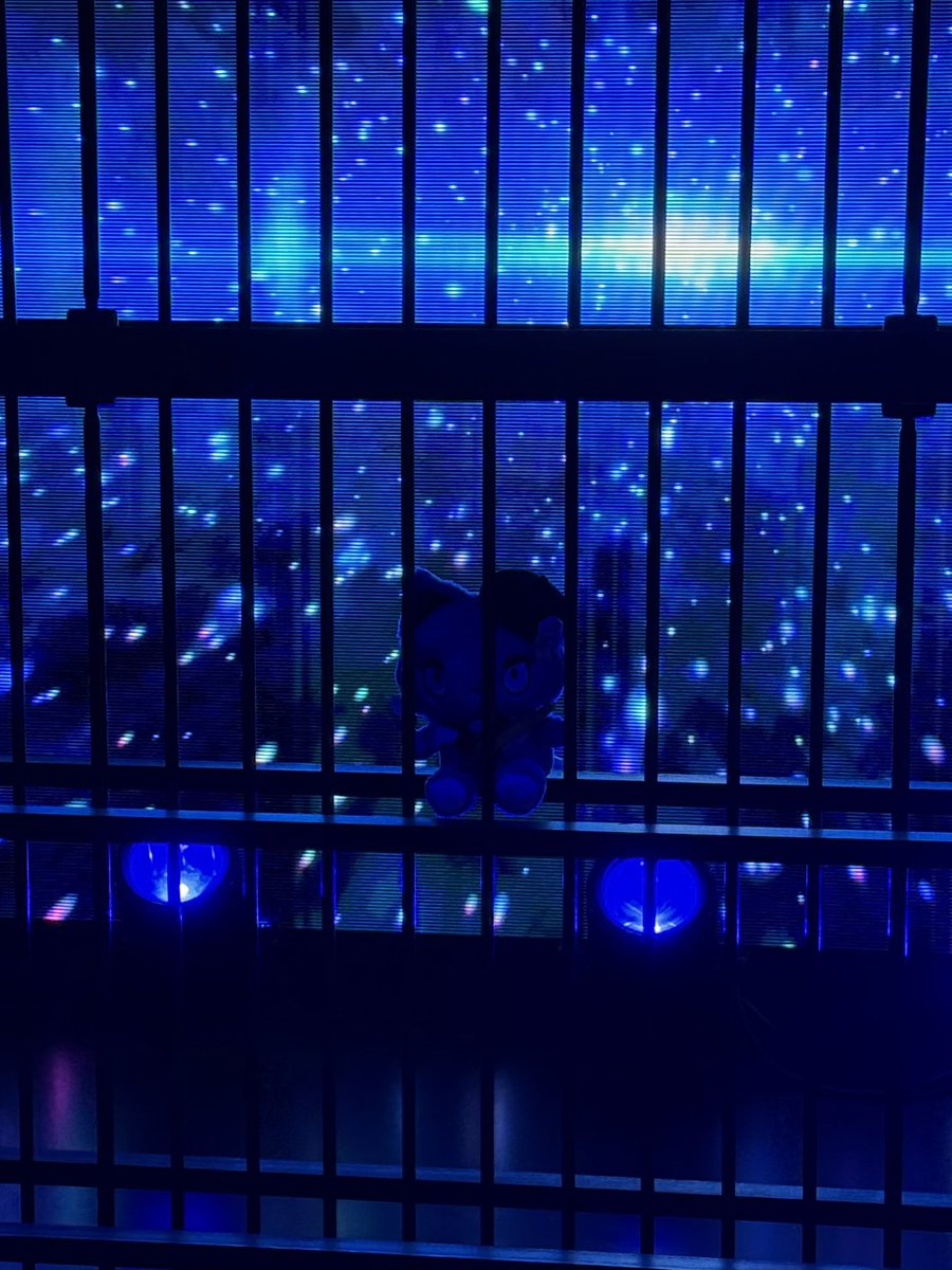 ibara_panda's tweet photo. Adoさんのライブ「Ao」に行く方‼️
よかったから仲良くしてください
会ってのんびりお話ししましょ🥀🐼

いいねとかコメント
お迎え行ったりフォロバします！
(会ってくれる人コメントお願い🥺)

#ado #Ao https://t.co/kYzbPAvQIz