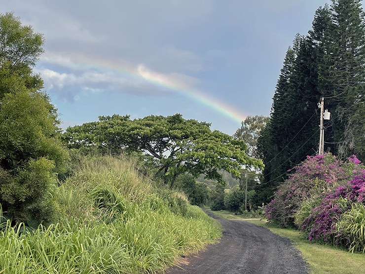 CLARKCGRAVES13's tweet photo. Rainbow on Maui's NW shore #backroad https://t.co/23pZF6grZk
