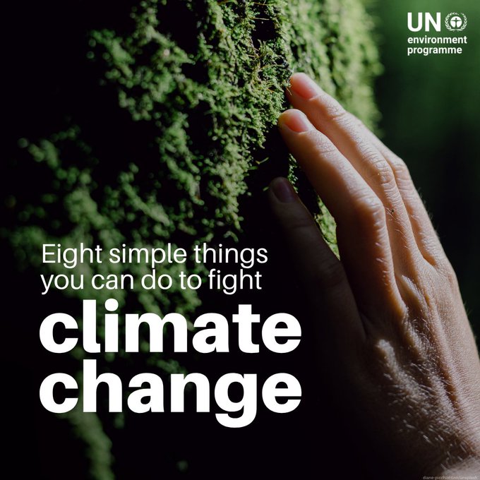 UNDESA's tweet photo. More than a decade after the Paris Agreement, greenhouse gas emissions continue to rise, accelerating climate change.

Humanity still has time to act #NowForClimate and curb these emissions.

Ahead of #WorldEnvironmentDay, here's how you can take action: https://t.co/dCwUZ56InU https://t.co/EcbgvlbRAK
