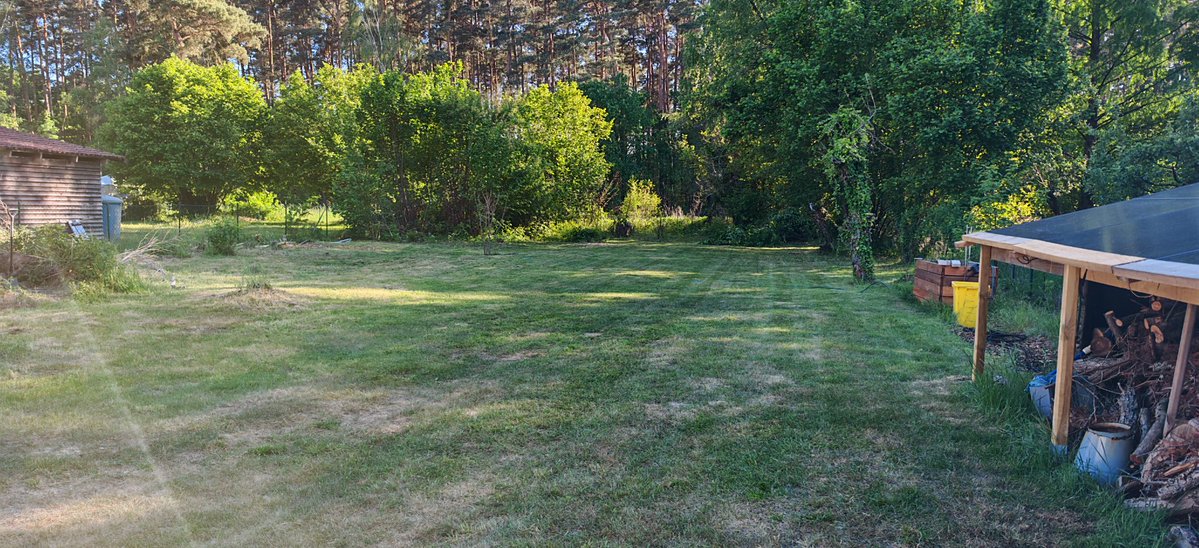 GartenHansi tweet media