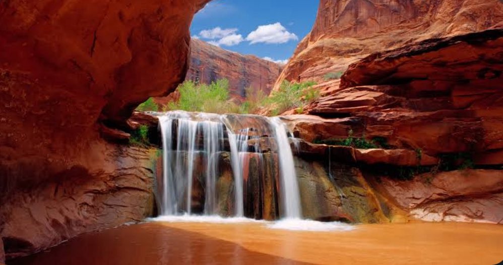 StoriesBySammi's tweet photo. The Grand Staircase is under attack — and a vote could happen in the first two weeks of June.

People hike it. Camp under some of the darkest skies in America. Explore slot canyons. Watch bighorn sheep.

Scientists dig dinosaur fossils there.

Six Native nations have sacred sites there.

660 species of bees pollinate its desert wildflowers.

This is your land. 1.9 million acres of it.

And Congress just found a backdoor to take it.

They're using an obscure law called the Congressional Review Act to erase the monument's entire management plan. The plan that took years to build. With public input. Tribal consultation. Scientific research.

To destroy it? A majority vote.

No public comment period. No hearings. No public voice.

Your land. And you don't get a say.

If it passes — check the replies. The breakdown of what happens to the land will make your stomach drop.

If they can do this to the Grand Staircase — what monument is safe?

#DemsUnited