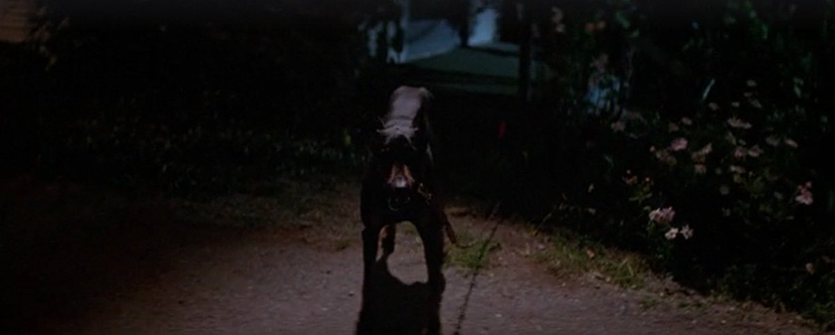 Janet_HMH's tweet photo. I hate that dog! It’s so creepy. https://t.co/M8OCP8OuwA
